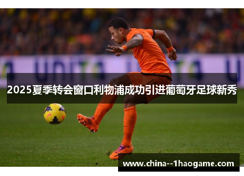 2025夏季转会窗口利物浦成功引进葡萄牙足球新秀